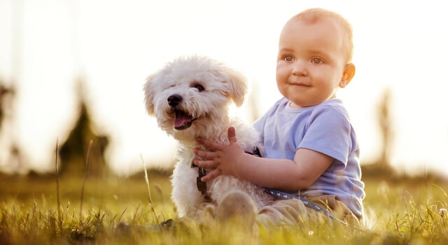 Hund und Kind - Beziehung richtig aufbauen