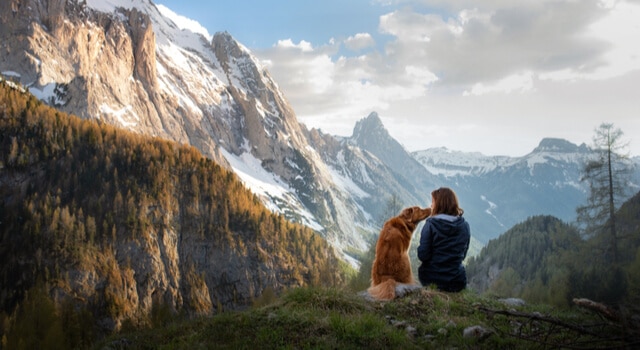 Wandern mit Hund in den Bergen