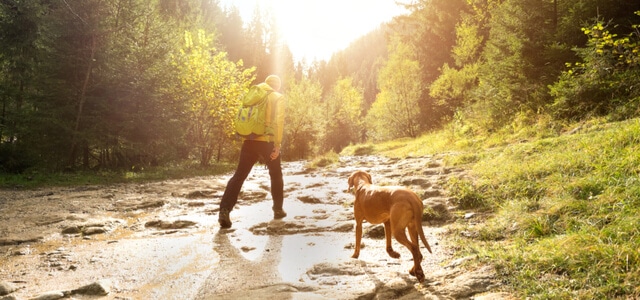 Wandern mit Hund am Fluss