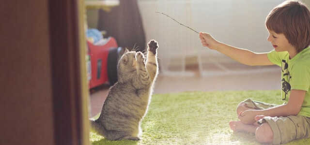 Kind spielt mit Katze