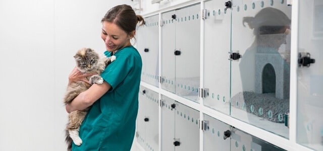 Katze im Arm von Tierarzthelferin